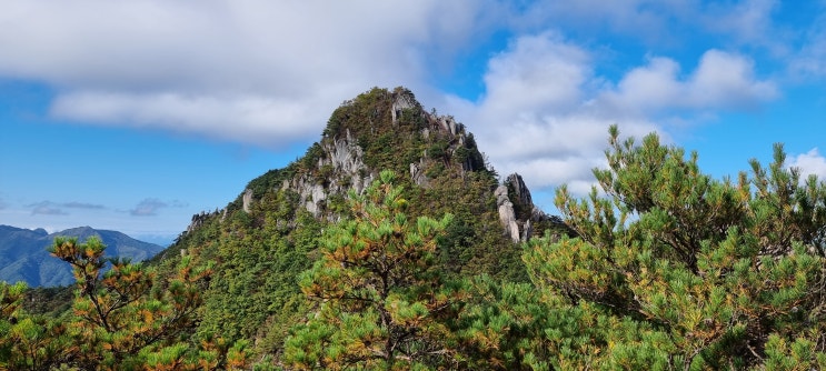 가야산을 바라보며 오를 수 있는 남산제일봉! 가야산을 바라보며 오를 수 있는 남산제일봉!