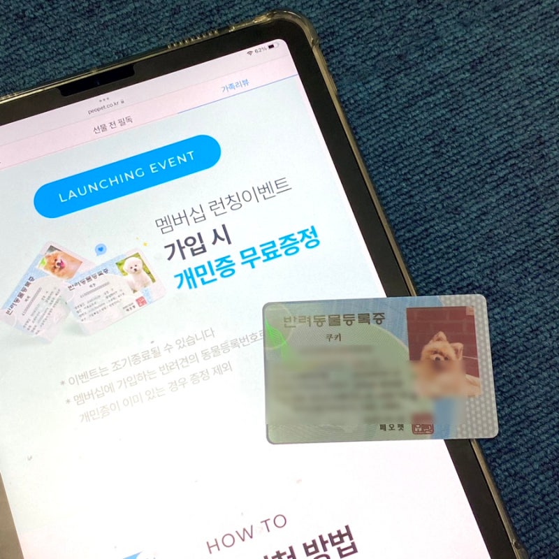 Feopet 회원, 개 보험 애완 동물 병원 비용 절감 검토 6