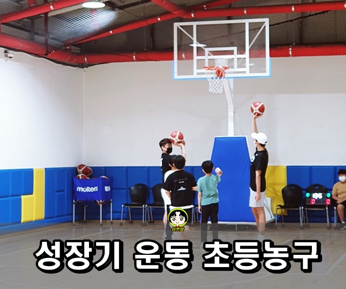  키크기운동  성장기운동으로 초등 농구 시작