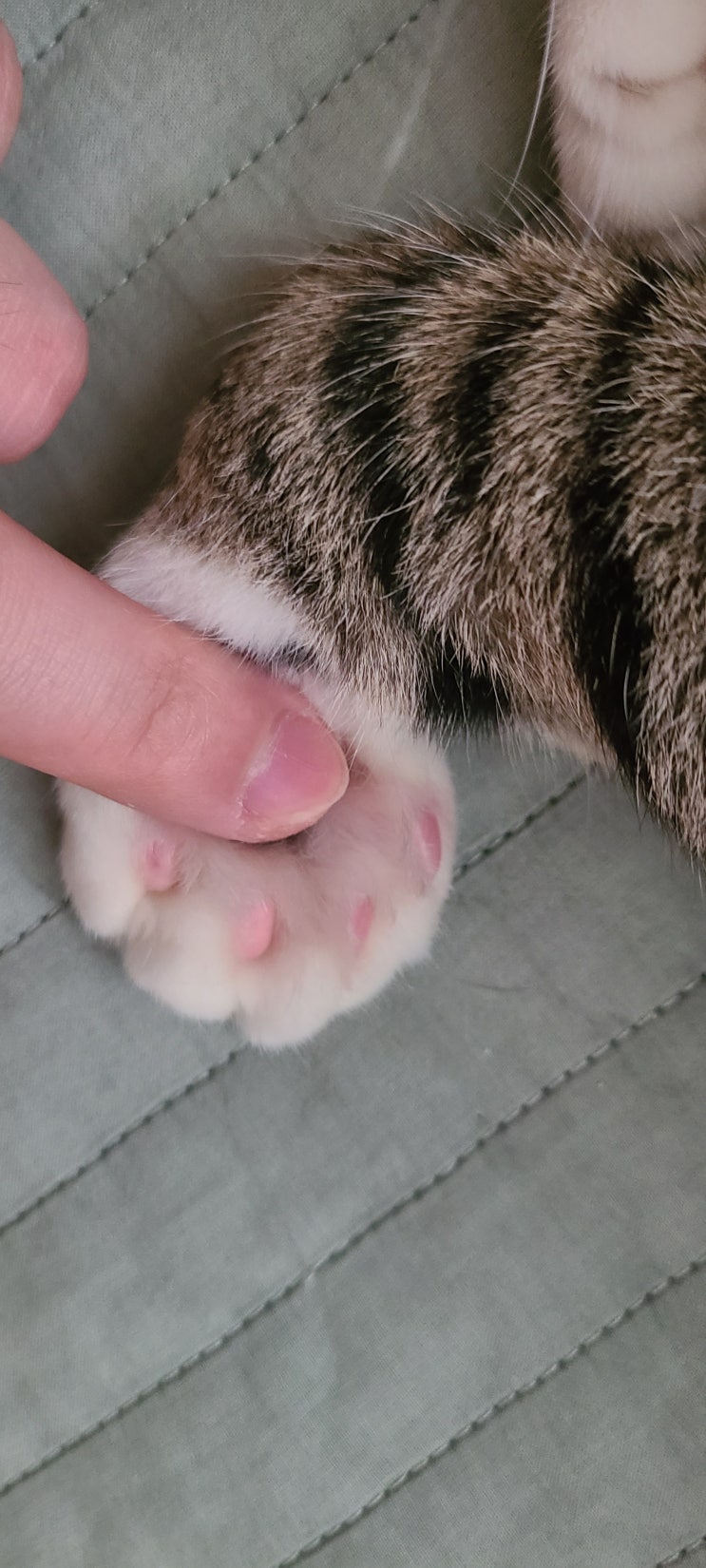  벌써 마지막 3월, 나의 짧은 일상