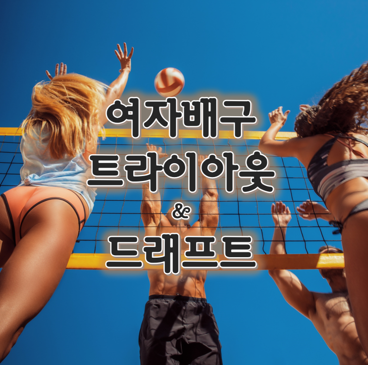 여자<b>배구</b> 22~23시즌 구단별 외국인 선수 <b>트라이아웃</b> 신인... 