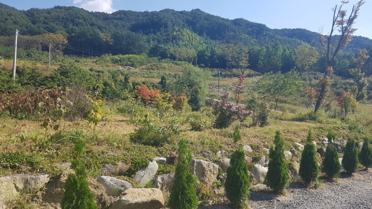 가을 맞이 동네 한바퀴... 가을 맞이 동네 한바퀴...