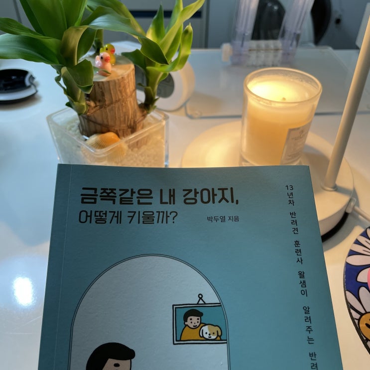  [금쪽같은 내 강아지, 어떻게 키울까?] 읽고 반려견 잘 키워보기