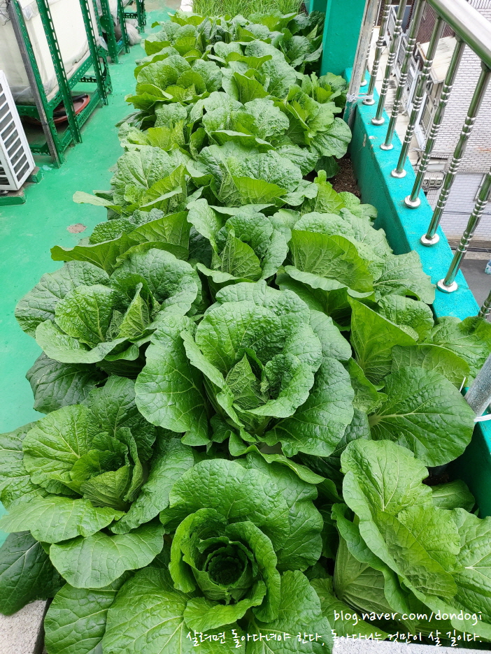  2022년 9월 넷째 주 이야기(9.26 ~ 10.2) - 주간일기 챌린지