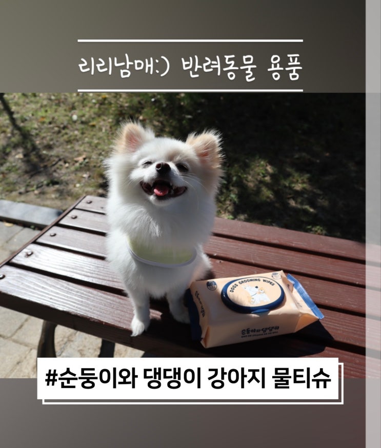  강아지 물티슈 순둥이와 댕댕이 . 반려견 산책 후 발바닥 닦기 딱 좋아요