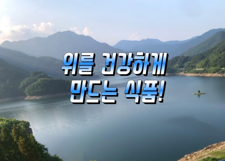위를 건강하게 만드는 식품! 위를 건강하게 만드는 식품!