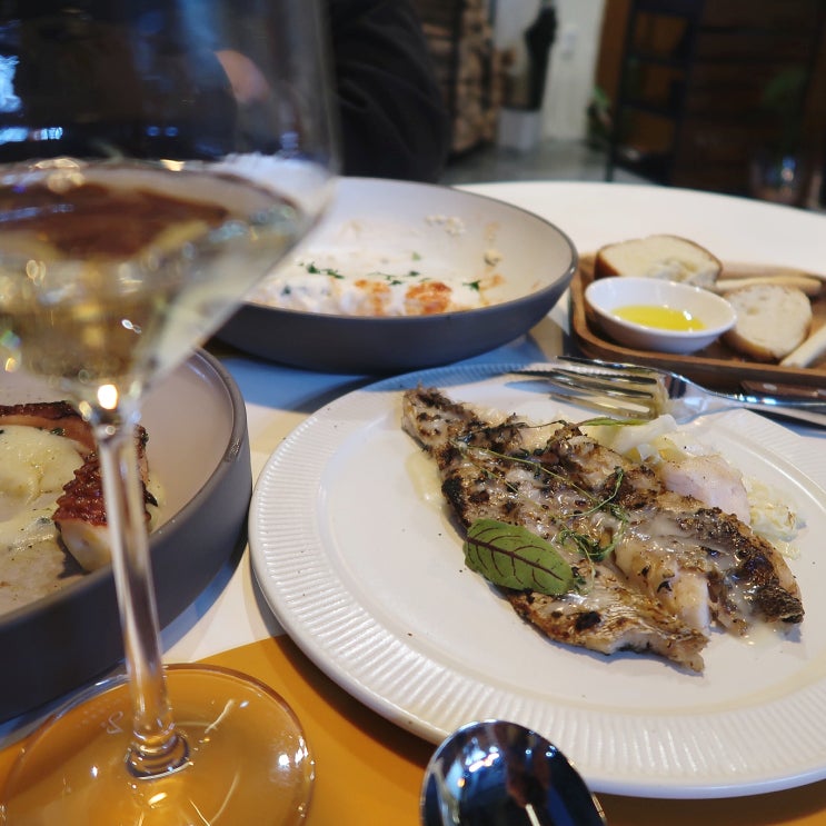  광주 화정동 맛집 이탈리안 레스토랑 오스테리아레냐