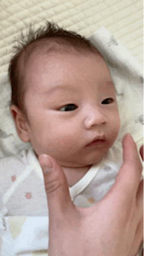  9월 5주 :: 회장님이 된 행운이, 푸라닭콘소메이징, 신생아50일촬영, 페도라바구니카시트, 타이니러브모빌 흑백모빌 시기