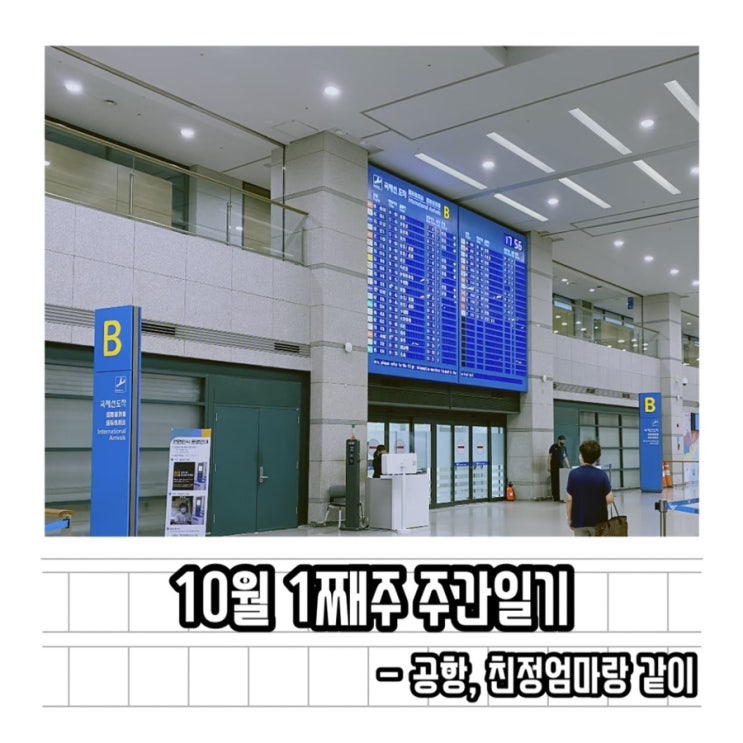 10월 1째주 주간일기