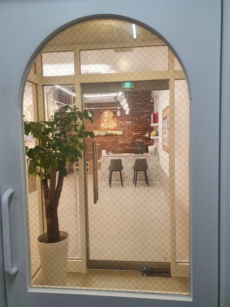 사진 4