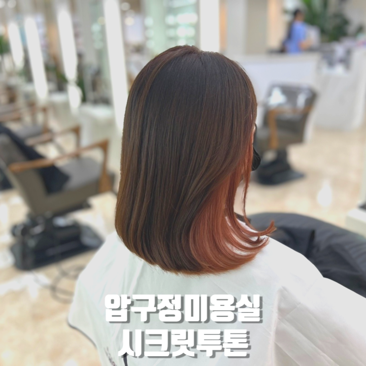  압구정미용실 ㅣ 시크릿투톤 ㅣ 핑크브라운/애쉬핑크