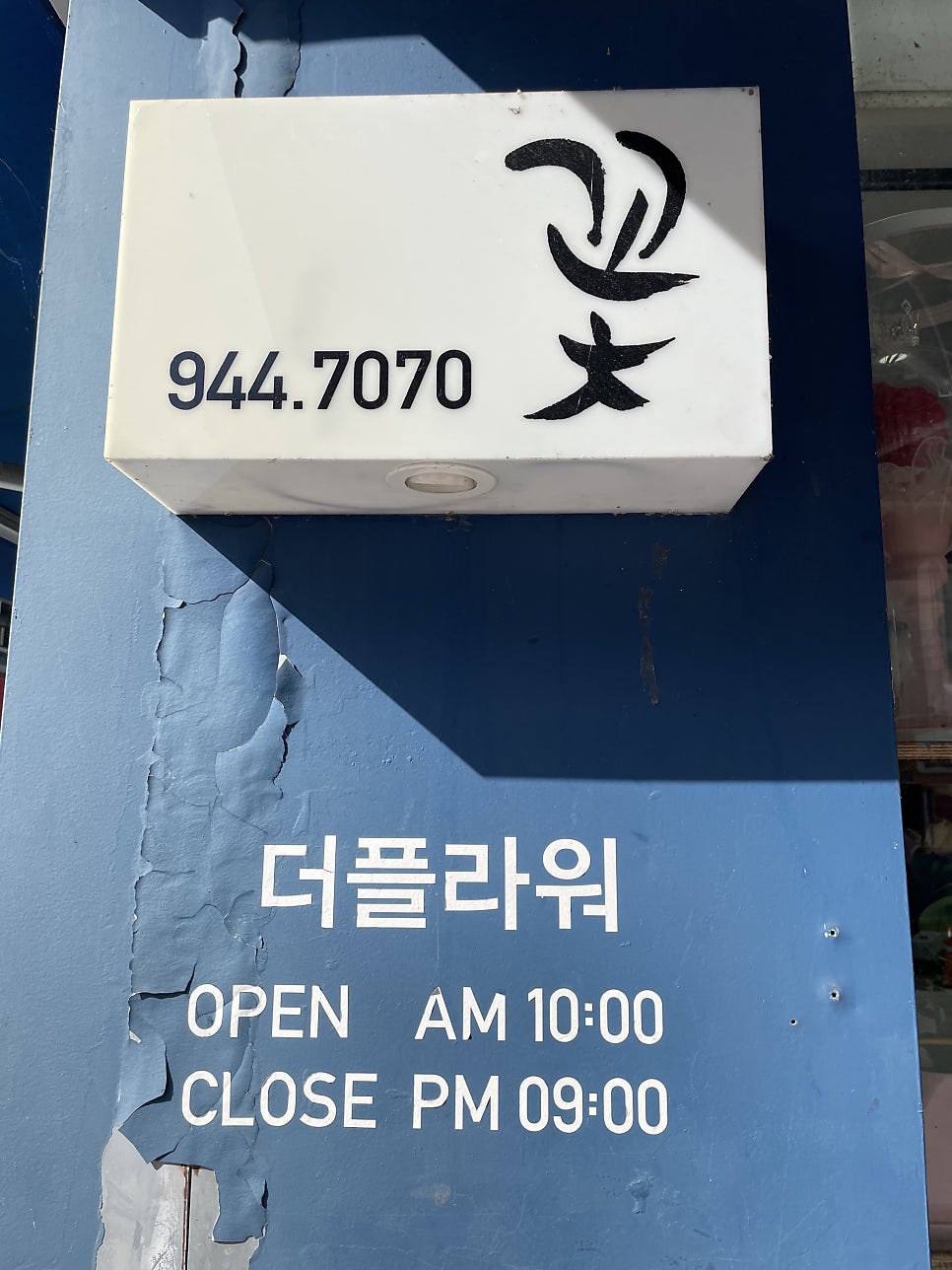 더플라워 사진 5