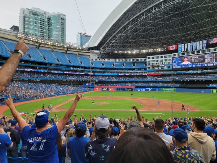 MLB 이해하기, 야구 용어 영어로