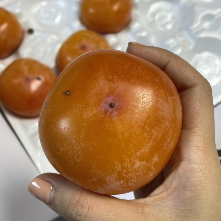  이번주 맛도리는 홍시!