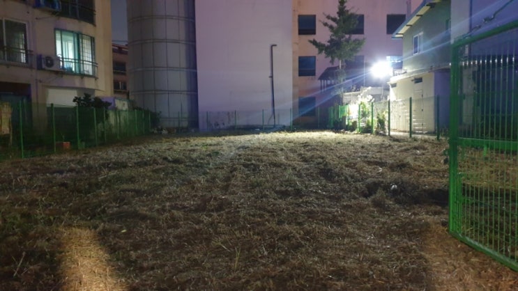  대구 남구  공터에 자란 잡초 예초작업하였습니다