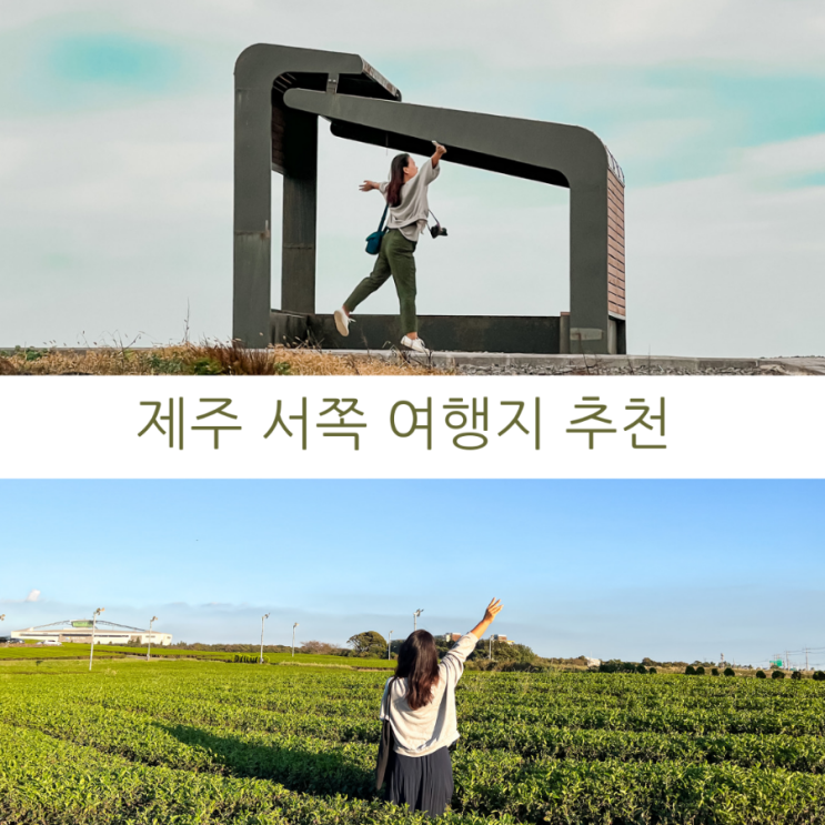  제주 여행 제주 서쪽 가볼만한 곳 추천, 도치돌목장 / 오설록티뮤지엄 / 신창풍차해안도로 / 금능해수욕장