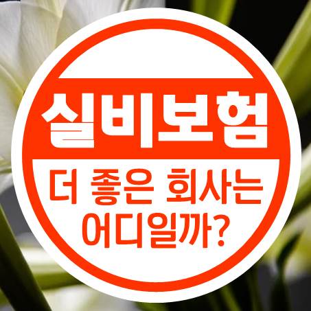  조금 더 싸고 좋은 유병력자실비보험 회사는 어디일까?