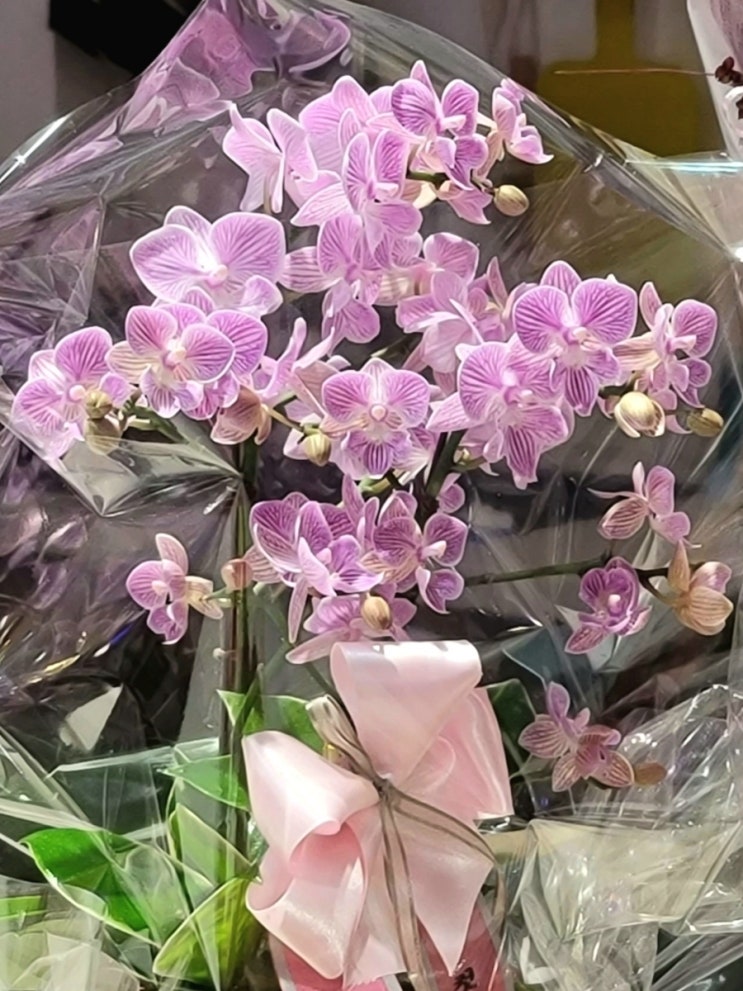  꽃화원 송파 방이 꽃집 아이리스 플라워