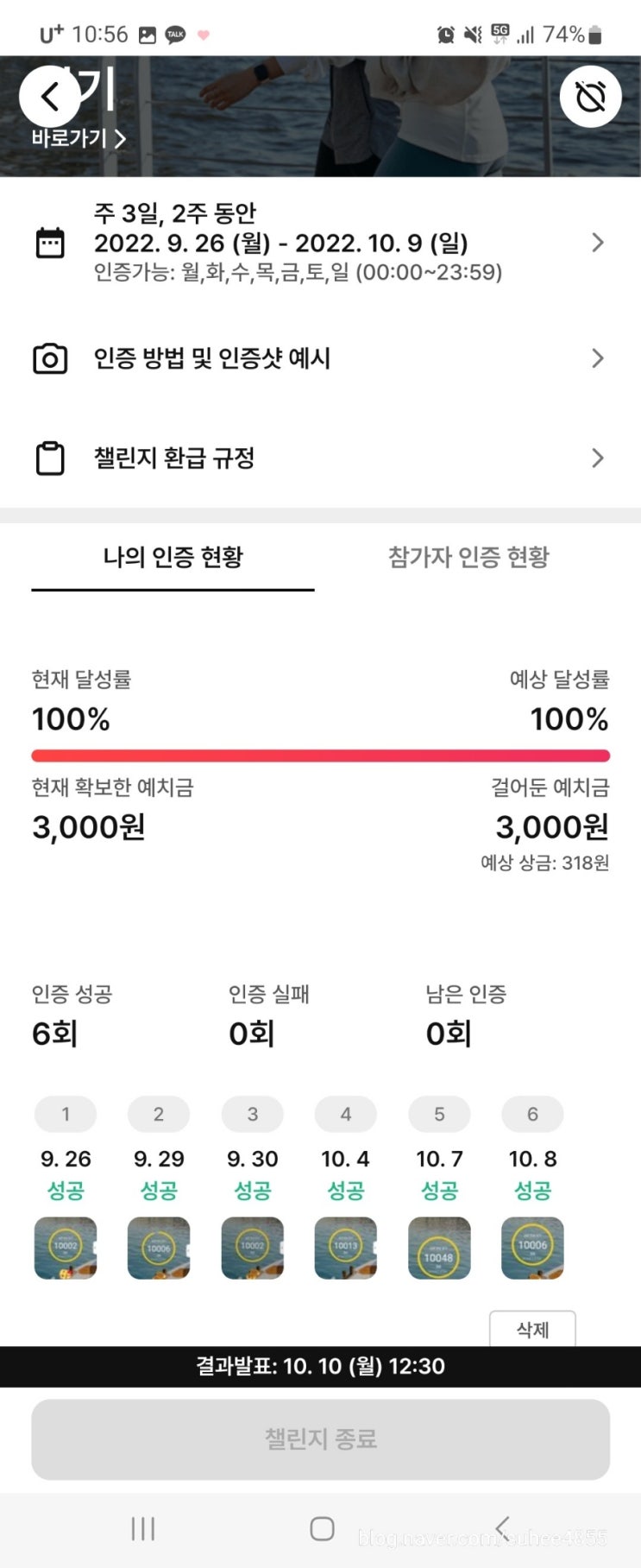  돈을 걸고 하는 다이어트