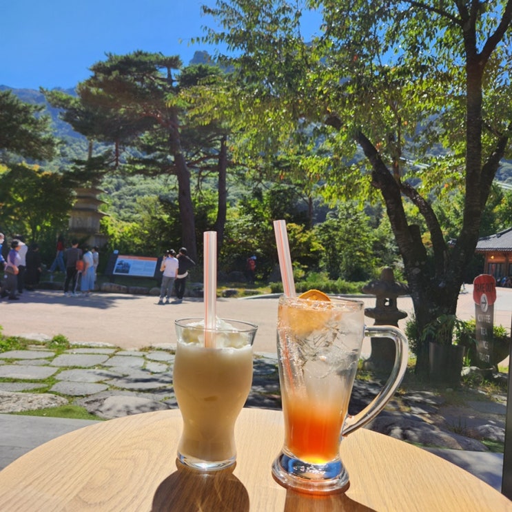  설악산 케이블카 카페 다향