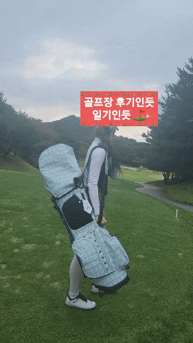  패턴이 고급진 골프캐디백 추천(아젠 노르딕 스탠드백)