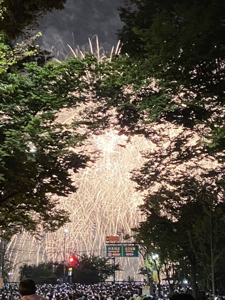  서울 불꽃놀이 축제 방문 후기(서울세계불꽃축제)