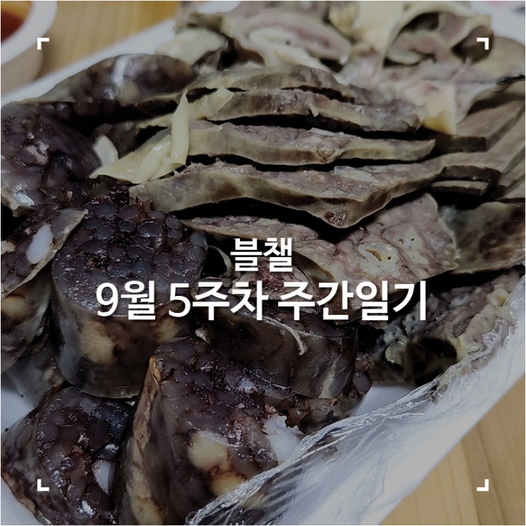 [블챌]맛집탐방하다 지나간 9월 5주차 주간일기