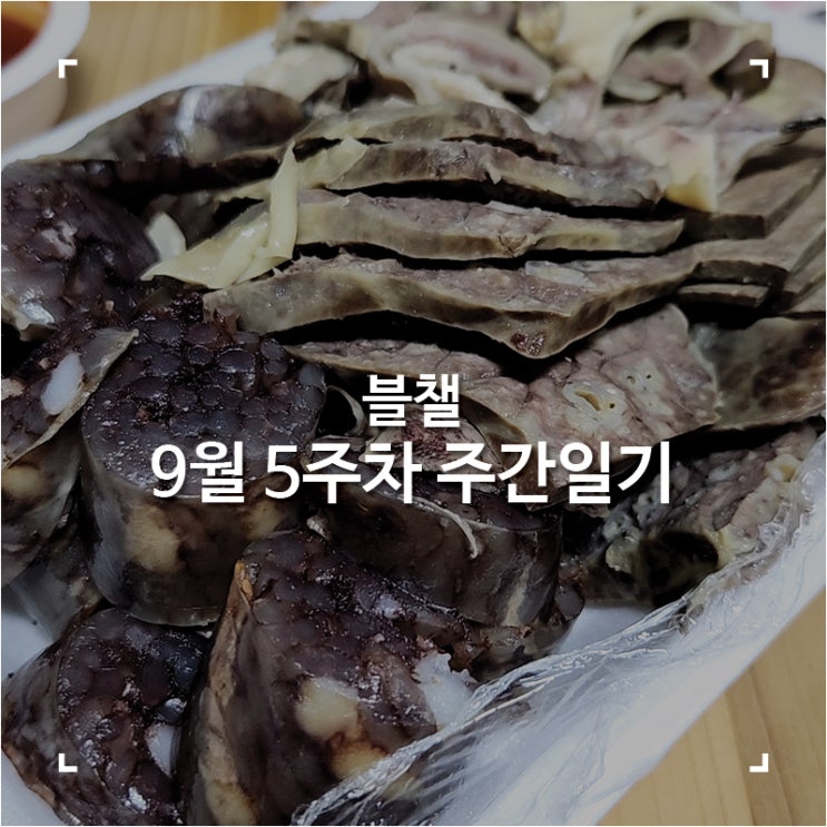  [블챌]맛집탐방하다 지나간 9월 5주차 주간일기