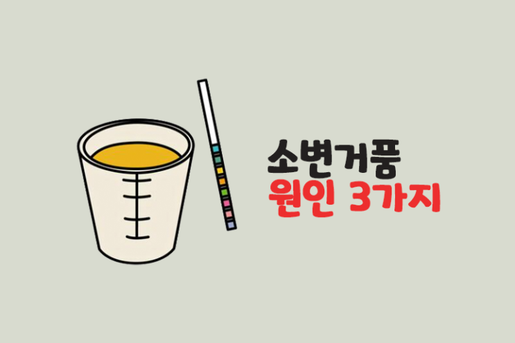 소변거품 (거품뇨,오줌거품) 원인 단백뇨?
