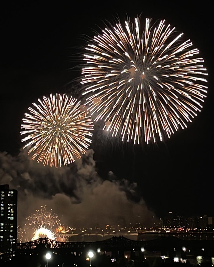  주간일기 w17, 2022 여의도 불꽃축제 구경