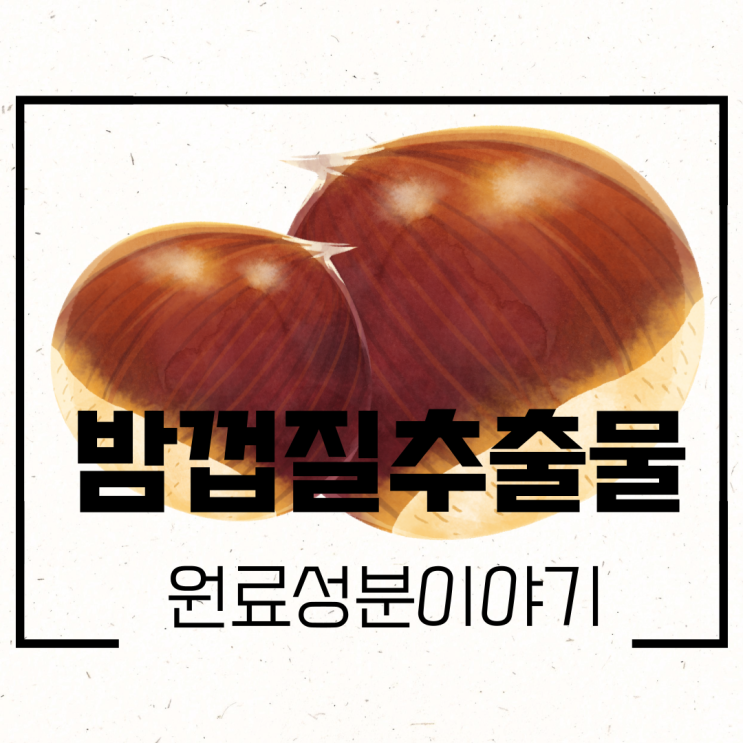  화장품 원료성분 l 밤껍질추출물 Castanea Crenata Shell Extract 율피추출물