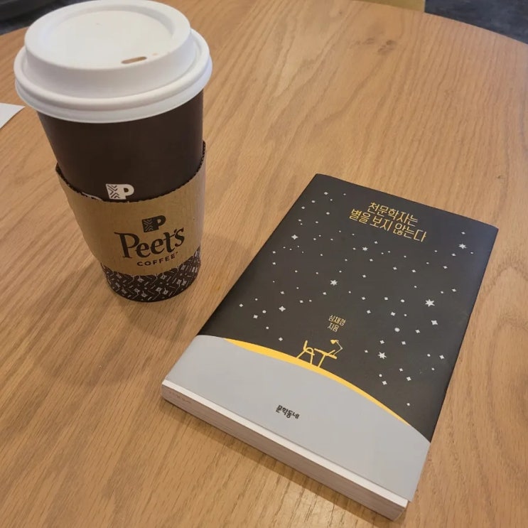  [책리뷰] 천문학자는 별을 보지 않는다_심채경
