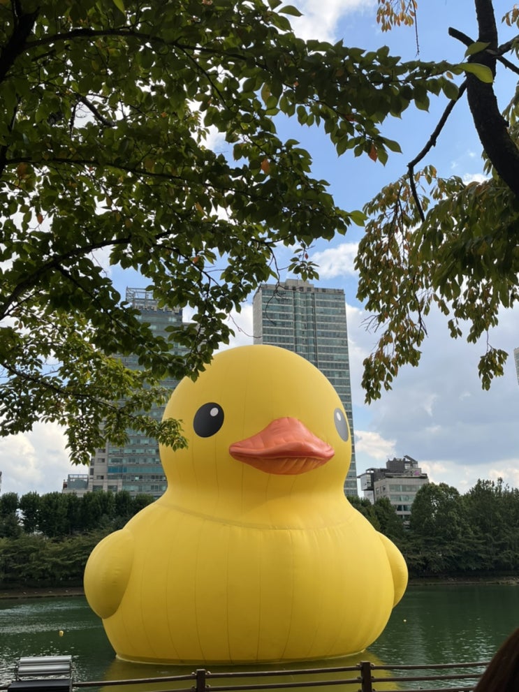  주간일기 챌린지