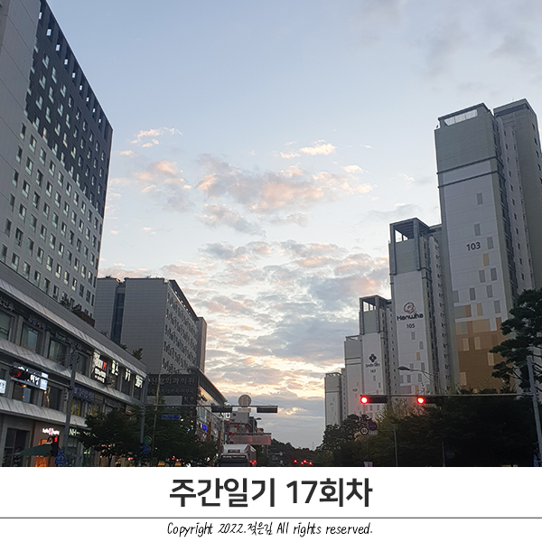 주간일기 17회차 : 와장창 주간일기 17회차 : 와장창