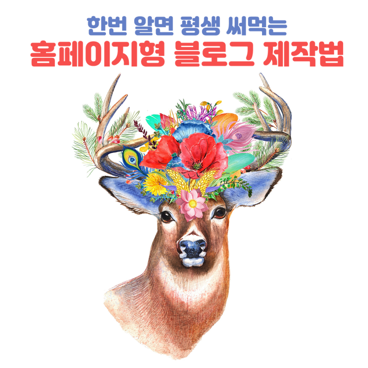  한번 알면 평생 써먹는 홈페이지형 블로그 제작법 전자책 출간