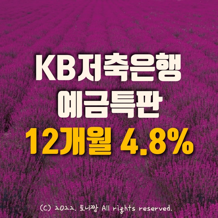 정기예금특판 연4.8% KB저축은행 정기예금특판 연4.8% KB저축은행