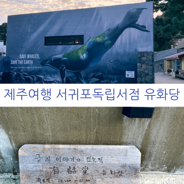  제주여행 제주 가볼만한 곳 서귀포독립서점 제주 책방 투어 이야기가 있는 유화당