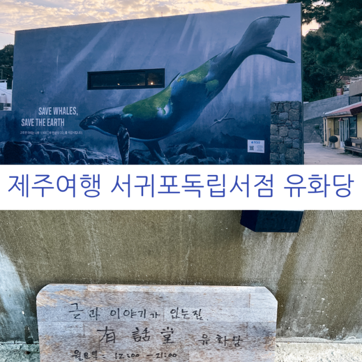 제주여행 제주 가볼만한 곳 서귀포독립서점 제주 책방 투어 이야기가 있는 유화당