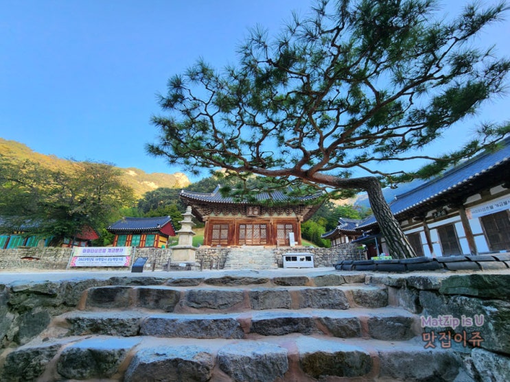  부안 변산 가볼만한곳 새벽 내소사 2부 /  대웅보전, 봉래루, 설선당, 전나무숲길