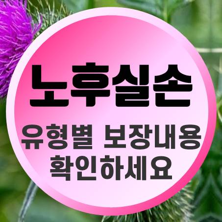  각 유형별로 노후실손보험 확실히 다르다는 것을 알 수 있었다