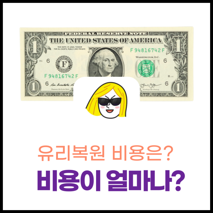  비용은 얼마나하나요?
