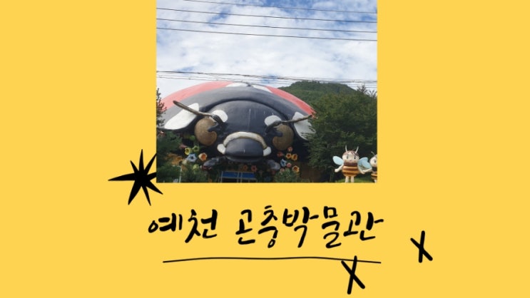 예천 곤충박물관 곤충생태원 두 번 가야하는 이유