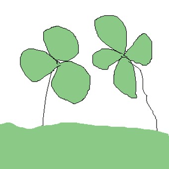  꽃말(The language of flowers)