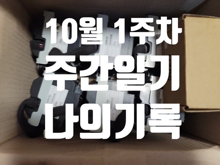  10월 1주 차 주간 일기 지난 한 주 동안의 나의 일기