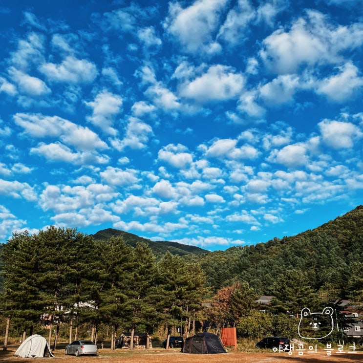  남양주 캠핑장 한적하고 자유로웠던 우리마을캠핑장