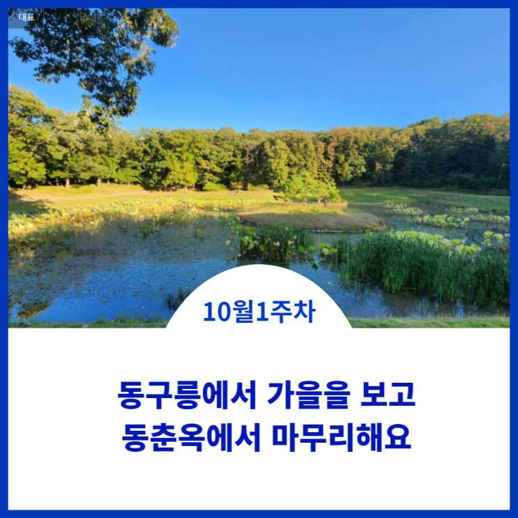  동구릉에서 가을의 편지를 느끼며 동춘옥에서 오랜만에 짜장면으로 마루리합니다