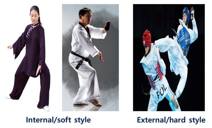  태극권(Tai Chi Chuan)과 태권도품새의 내가권 특성, 그리고 건강상 이점은?