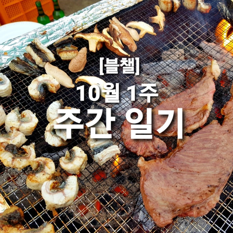  [블챌] 10월 첫 주 주간 일기