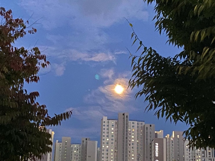 달이 참 밝다
