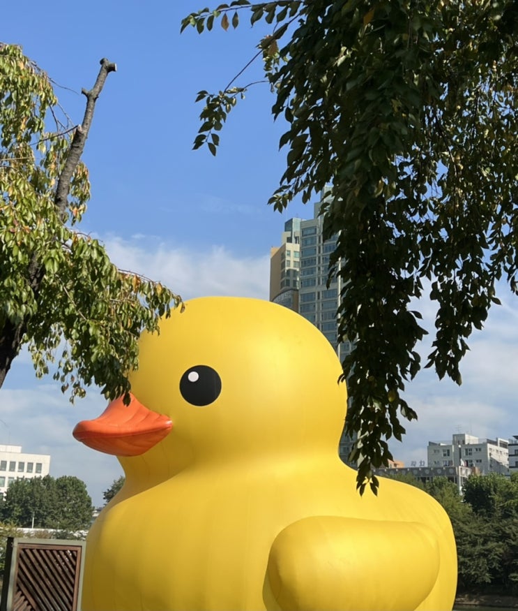  할머님 구순 생신파티, 돌아온 러버덕, 집들이까지 바쁘다 바빠!
